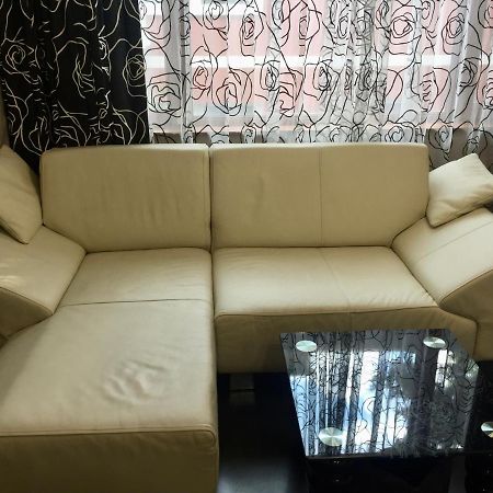 Lovely Sofia Apartment Katerina With Free Parking Luaran gambar