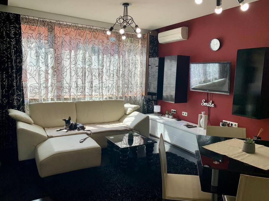 Lovely Sofia Apartment Katerina With Free Parking Luaran gambar