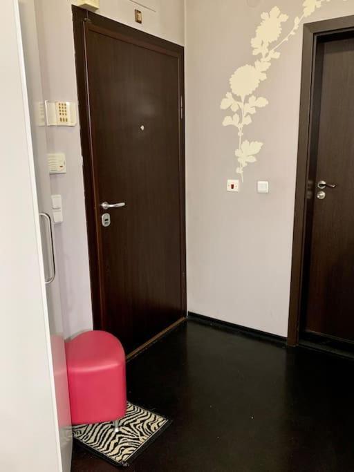 Lovely Sofia Apartment Katerina With Free Parking Luaran gambar