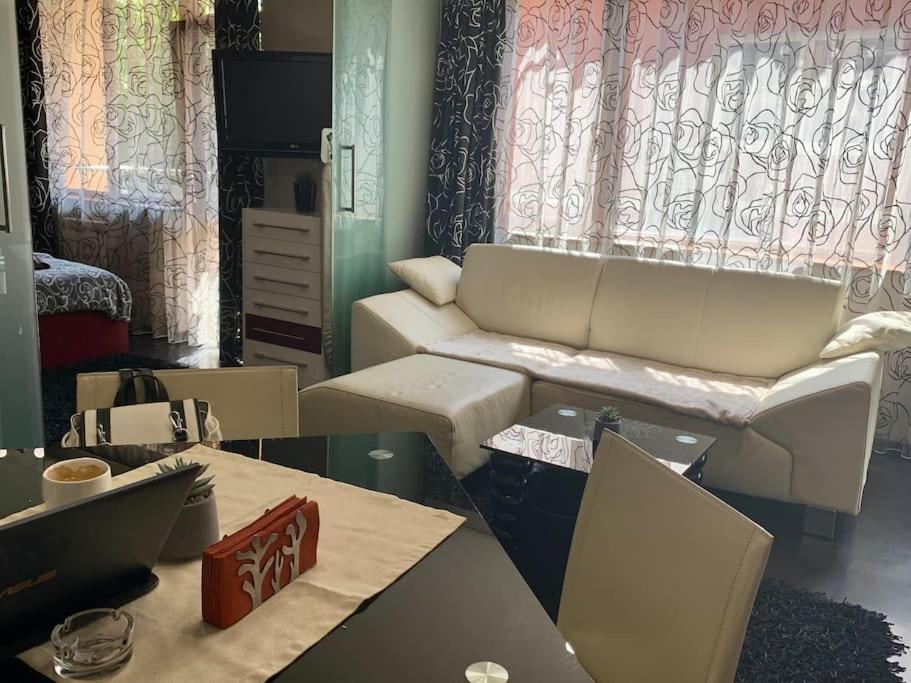 Lovely Sofia Apartment Katerina With Free Parking Luaran gambar