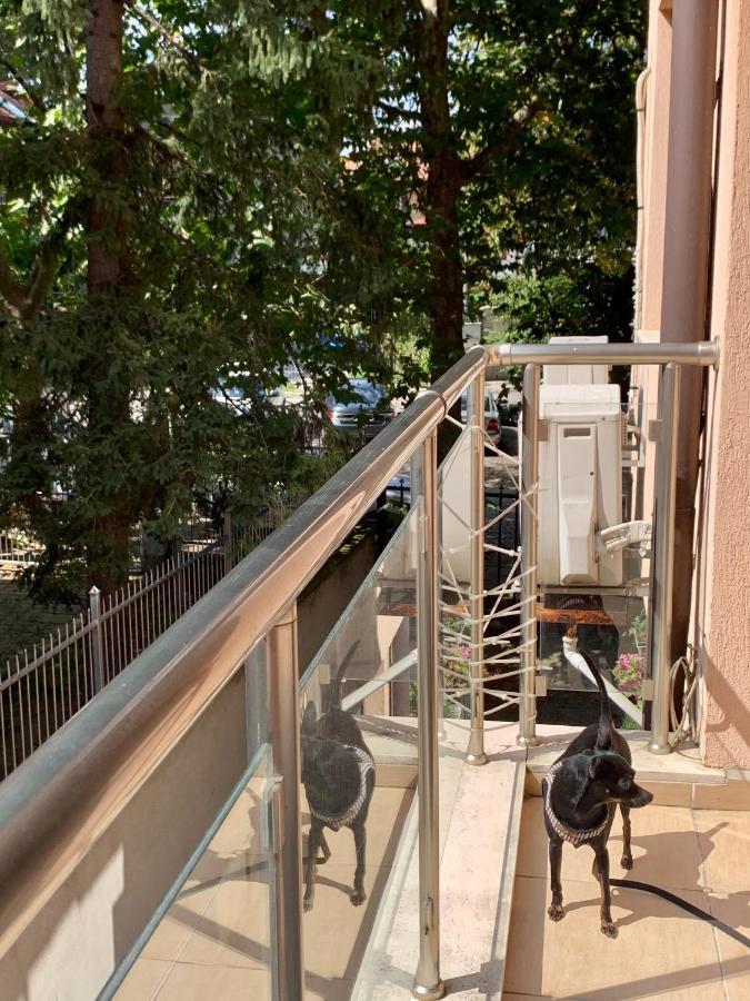 Lovely Sofia Apartment Katerina With Free Parking Luaran gambar