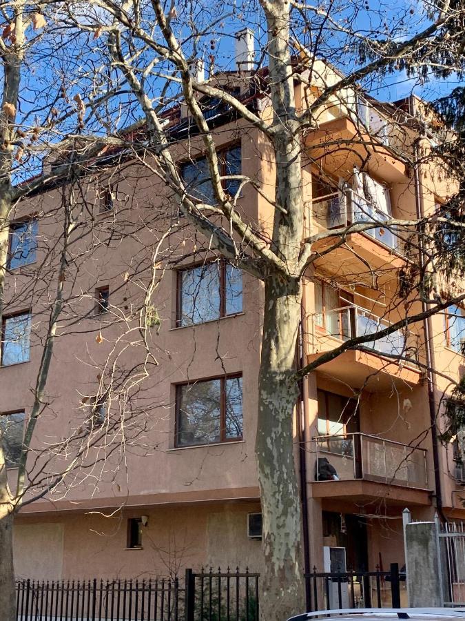 Lovely Sofia Apartment Katerina With Free Parking Luaran gambar